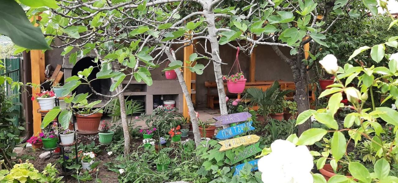 Family House Primorsko Apartment Bagian luar foto